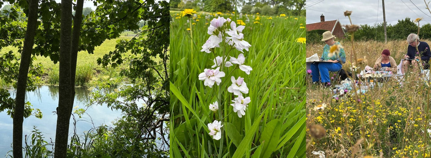 Collage of three images: a river, white flowers with green leaves, and people in a field.
