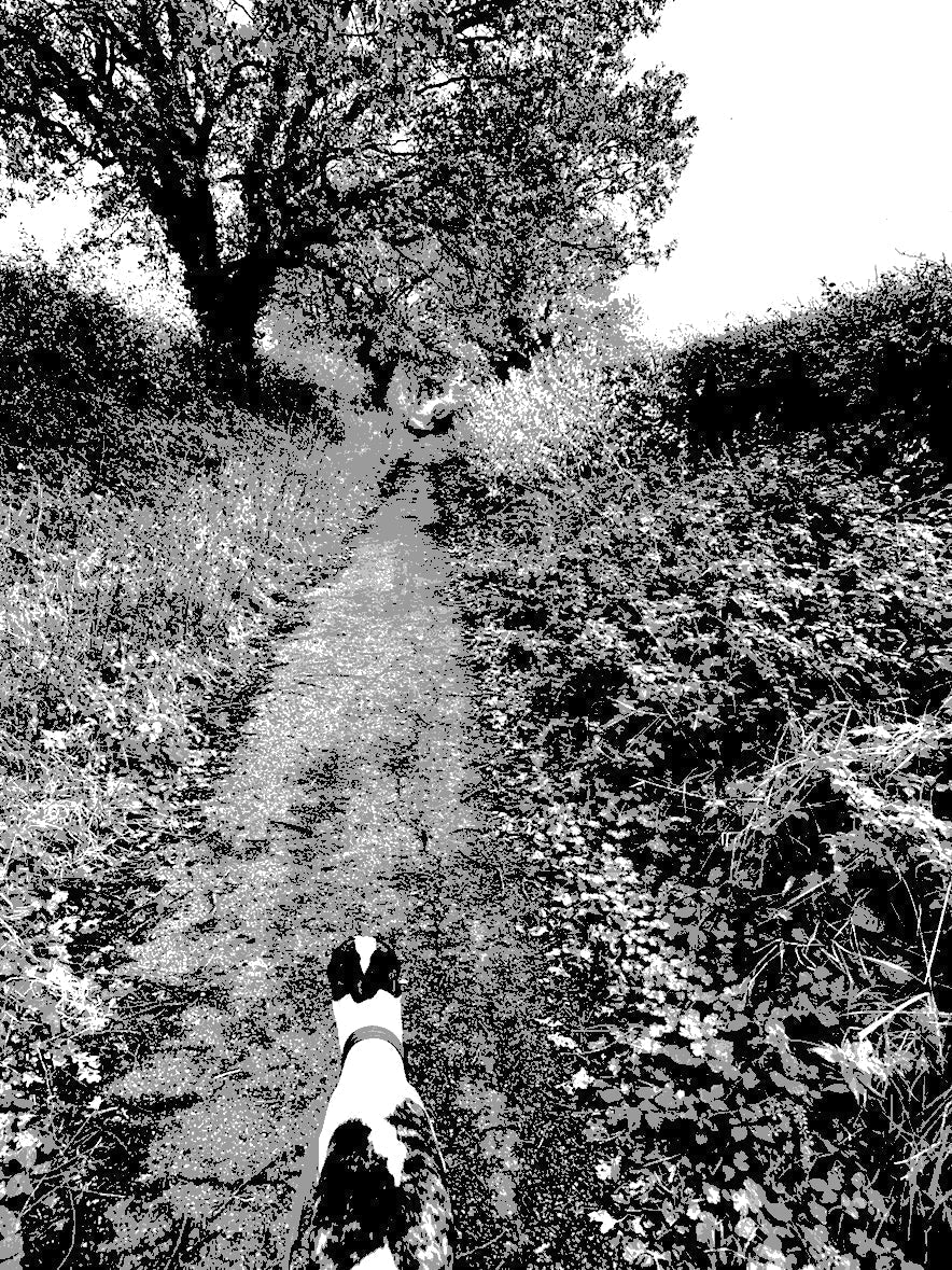 the one where i take Crowley for a Walk with modernism, and post- conceptualism